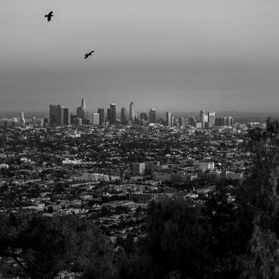 Black White Aufnahme von einer Skyline einer großen Stadt