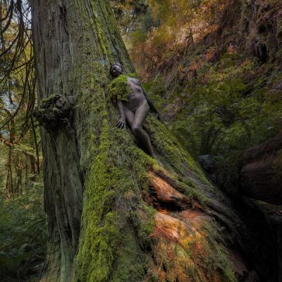 Person wurde von Künstler im Camouflage bemalen. Er verschmilzt mit Hintergrund - bemooster Baum